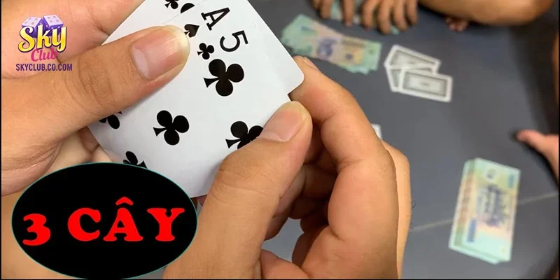 Thông tin về 3 hình thức chơi bài 3 cây phổ biến