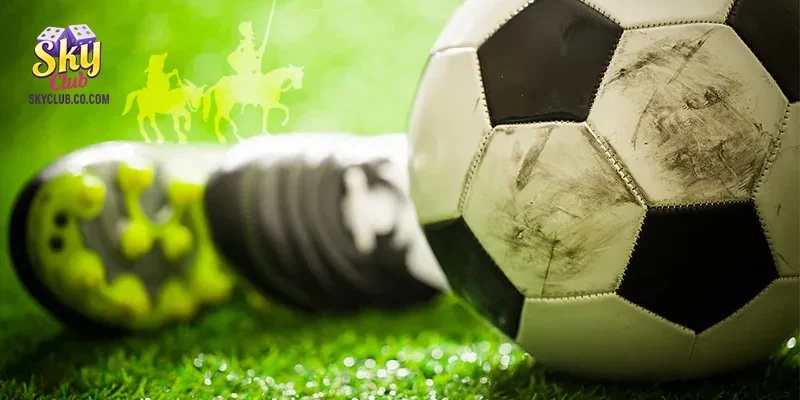 Kinh nghiệm soi kèo rung chuẩn chuyên gia