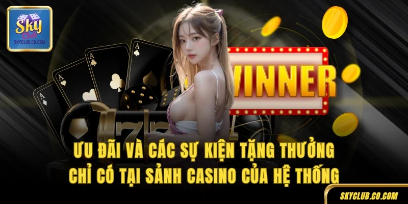Ưu đãi và các sự kiện tặng thưởng chỉ có tại sảnh casino của hệ thống
